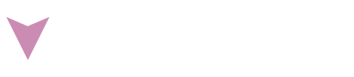 Bim Vision